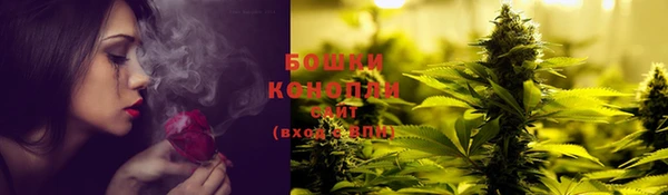 шишки Михайлов