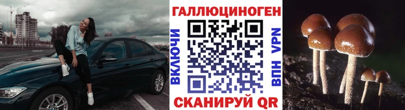 Псилоцибиновые грибы прущие грибы  Чайковский 
