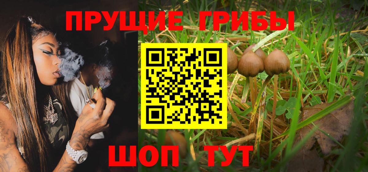 Галлюциногенные грибы Psilocybine cubensis  Псилоцибиновые грибы Cubensis  Чайковский 