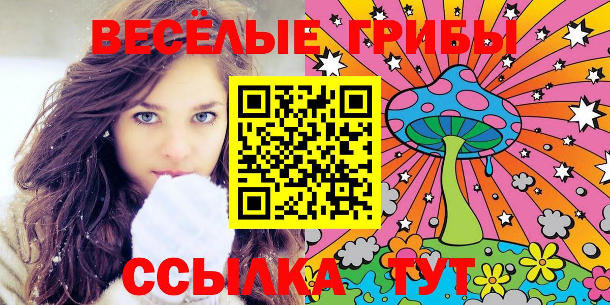 Псилоцибиновые грибы GOLDEN TEACHER Чайковский