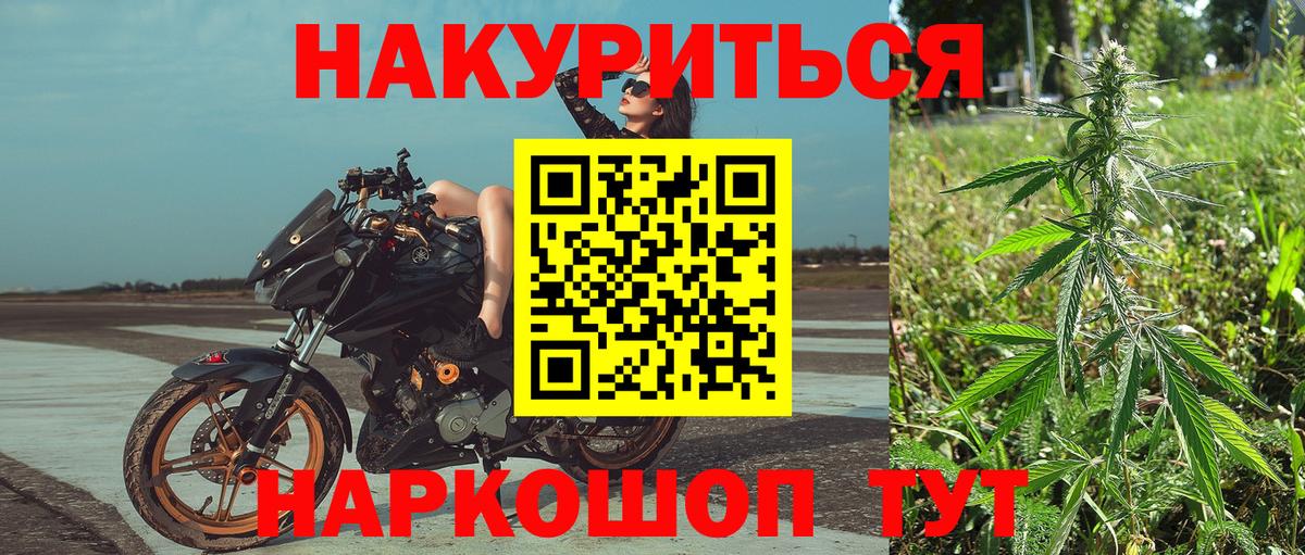 Конопля Bruce Banner  Каннабис индика  Чайковский 